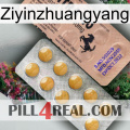 Ziyinzhuangyang 41